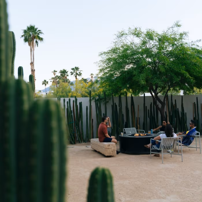 Outdoor fire pit lounge surrounded by tall cactus walls and palm trees.