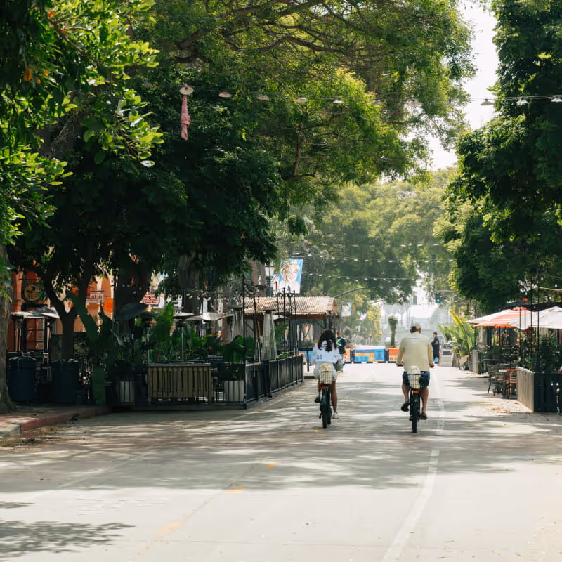 Tree-lined pedestrian street with cyclists riding past outdoor cafes and restaurants in a charming downtown shopping district