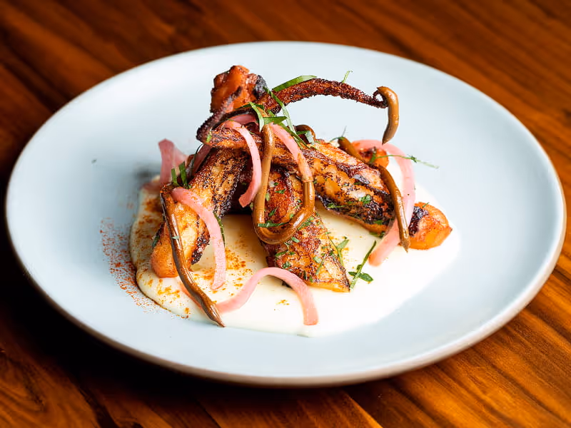 Grilled octopus with charred tentacles served on creamy sauce with pickled red onions and fresh herbs on white plate