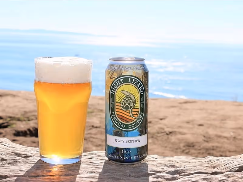Night Lizard Brewing Company Goby Brut IPA can and poured golden beer in glass on beach with ocean view Santa Barbara