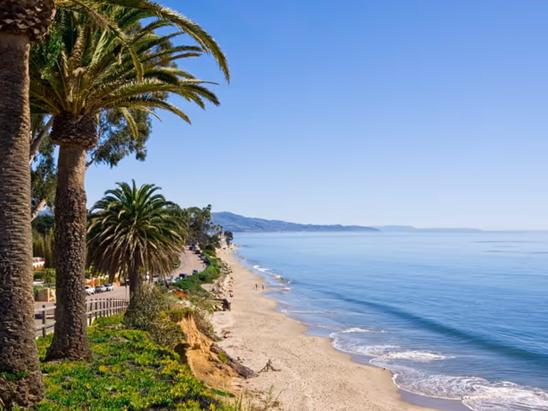 Palm tree-lined Santa Barbara coastline with sandy beach, calm blue ocean waves, and distant mountains under clear skies.