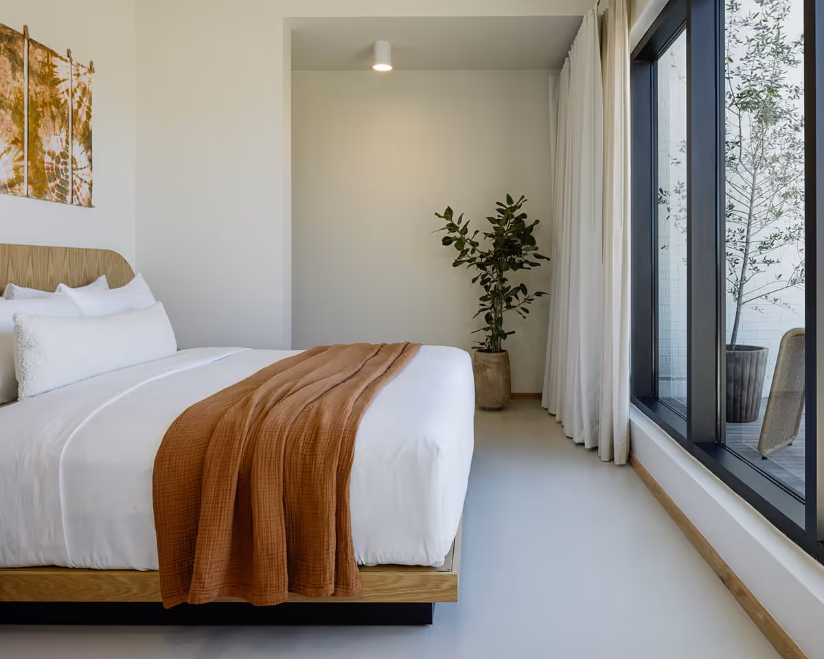 Minimalist hotel room with platform bed, white bedding, rust-colored throw, potted plant, and large windows opening