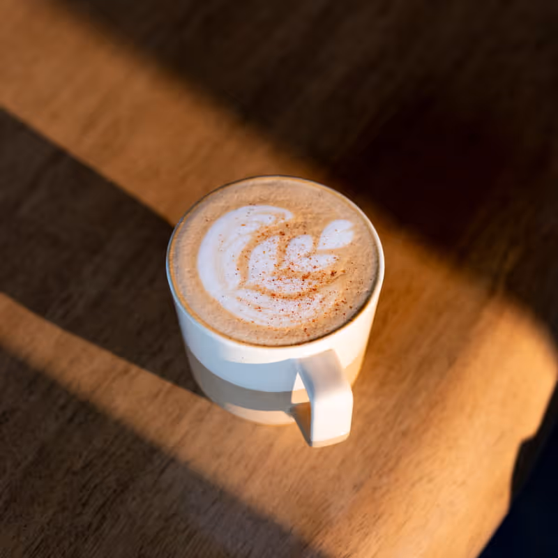 A latte with delicate foam art and a dusting of cinnamon served in a white ceramic mug, bathed in warm natural sunlight.