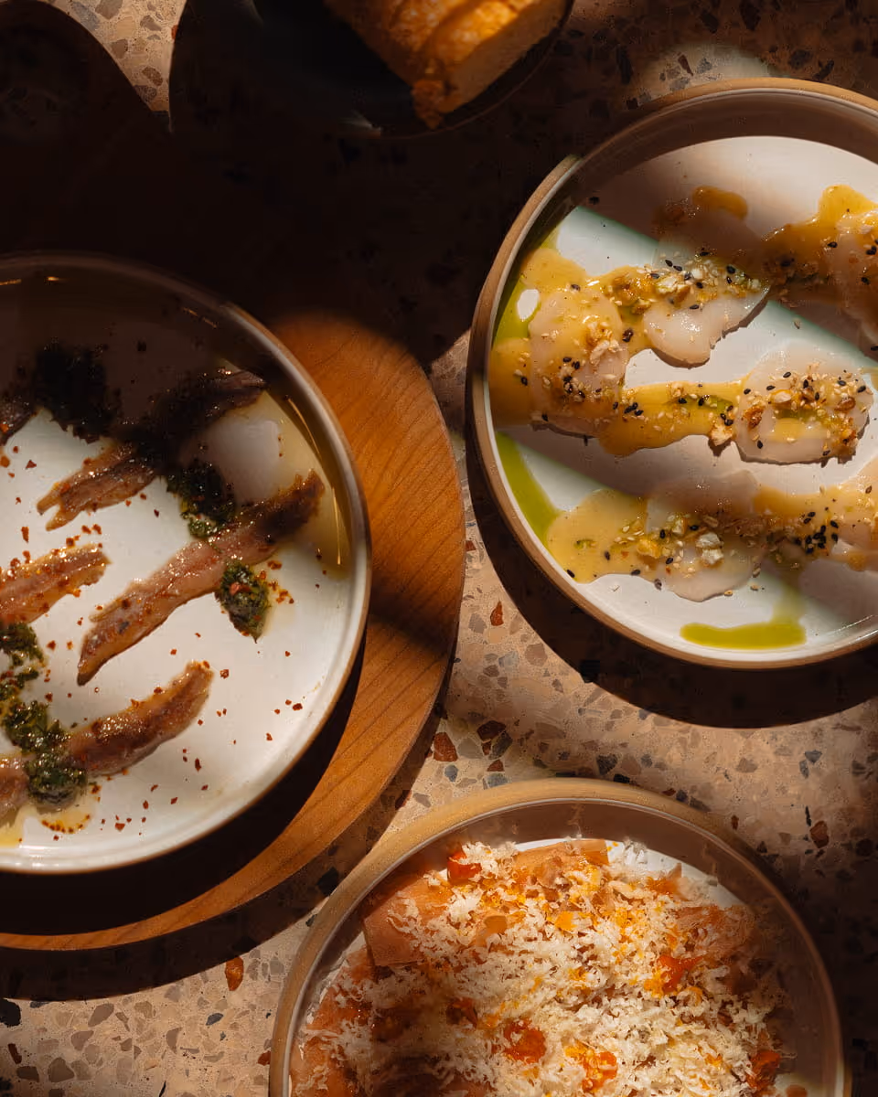 Three artfully plated dishes on a terrazzo surface featuring cured fish with pesto, scallop crudo with citrus, and shaved