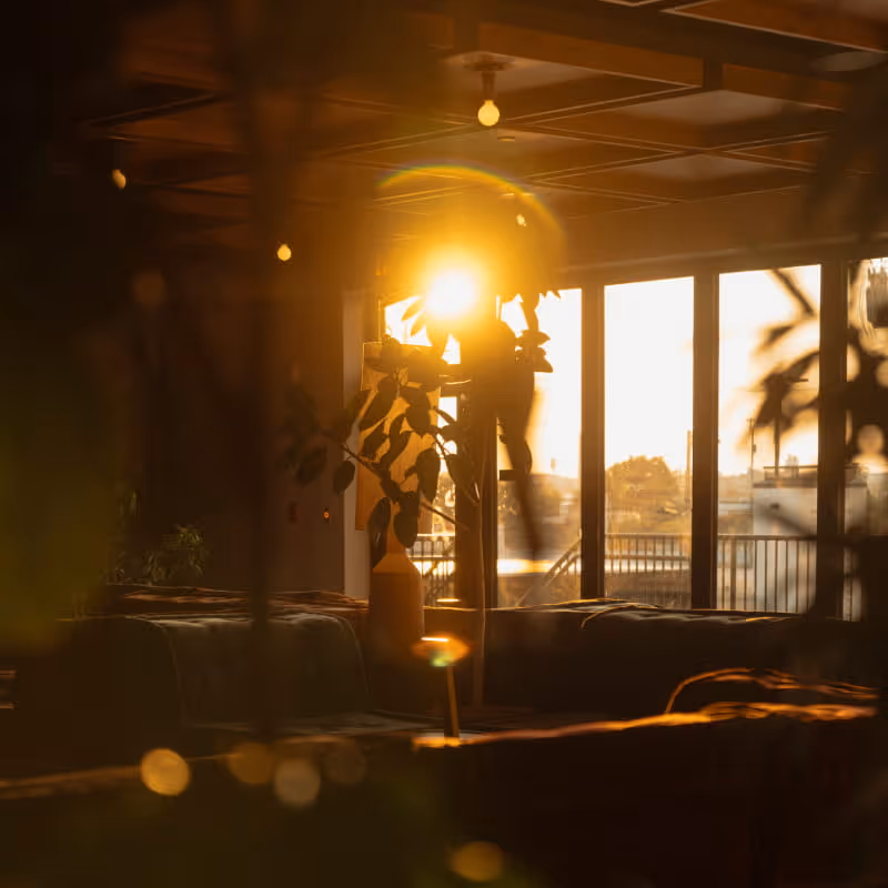 Golden sunset light streaming through large windows into a cozy lounge interior with silhouetted plants and lens flare.