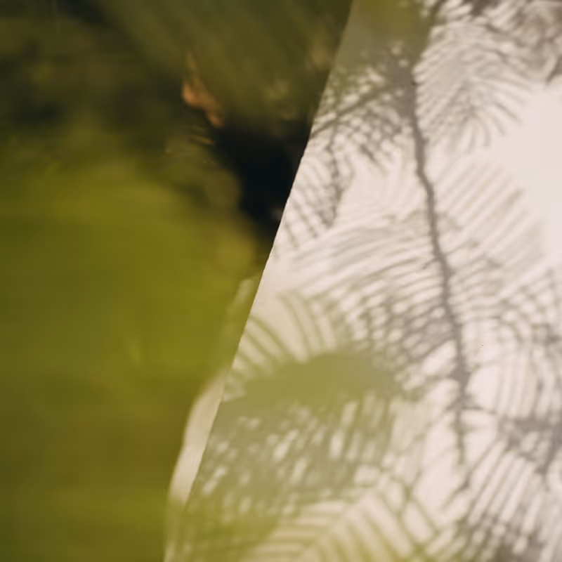 Palm frond shadows cast on a white poolside deck beside clear green tropical pool water in warm afternoon light