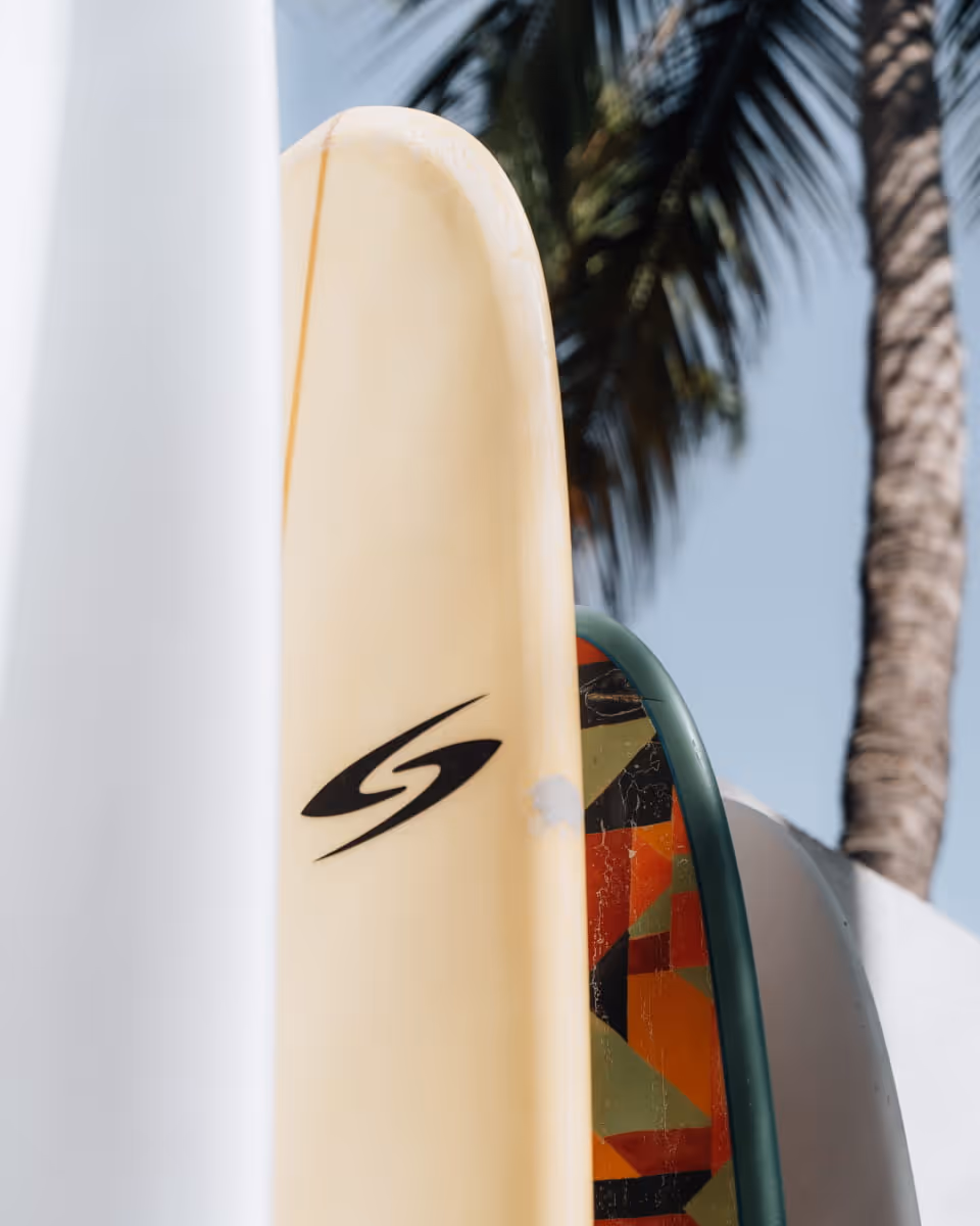 Surfboards leaning together outdoors with a palm tree in the background, featuring a cream board with a stylized S logo.