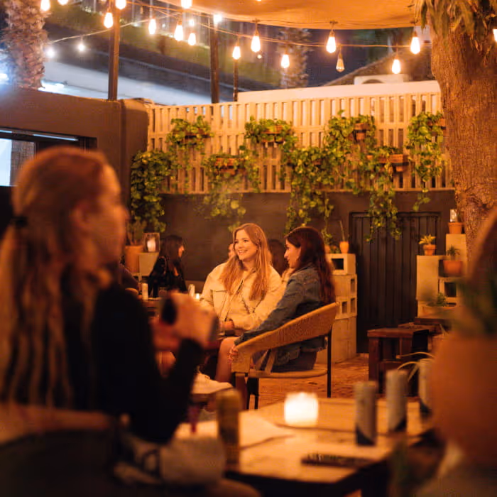 Friends enjoying an evening at a cozy outdoor patio bar decorated with string lights and hanging green plants
