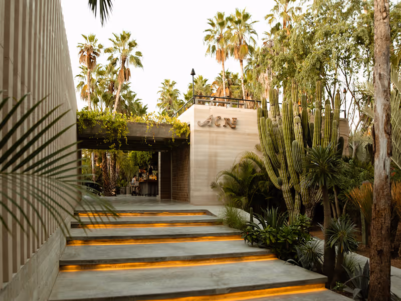 Lush jungle setting at Acre Restaurant with palm trees and tropical greenery in San Jose del Cabo