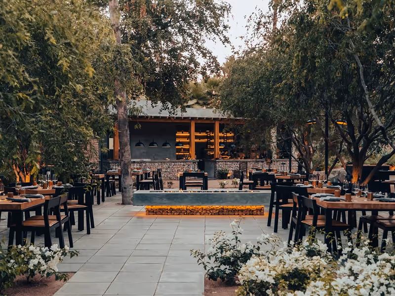 Suelo Sur open-air kitchen and bar beneath a 200-year-old tree surrounded by native gardens in San Jose del Cabo