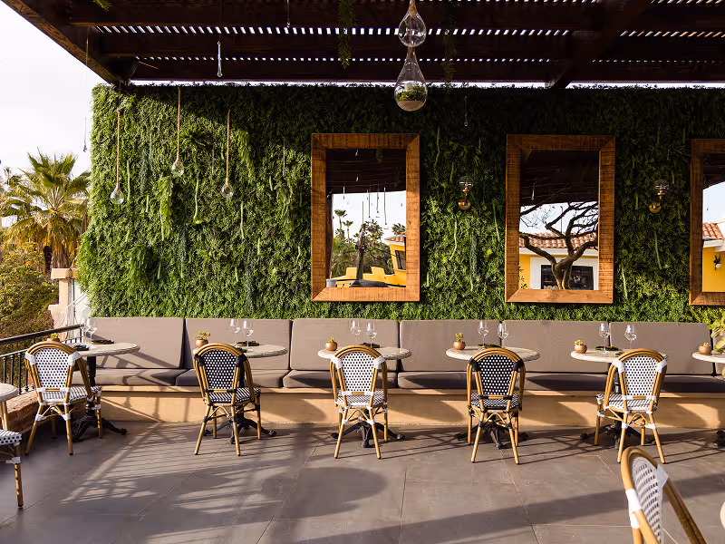 Open-air rooftop bar at Simaruba surrounded by lush green vines with panoramic views