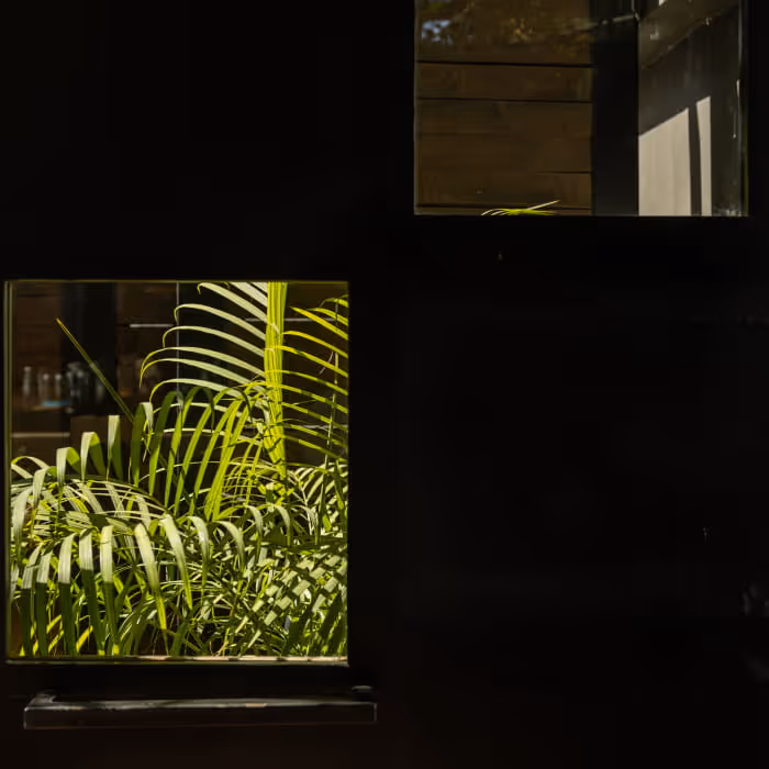 Bright green palm fronds visible through a square window cut into a dark wall, creating a striking contrast of light