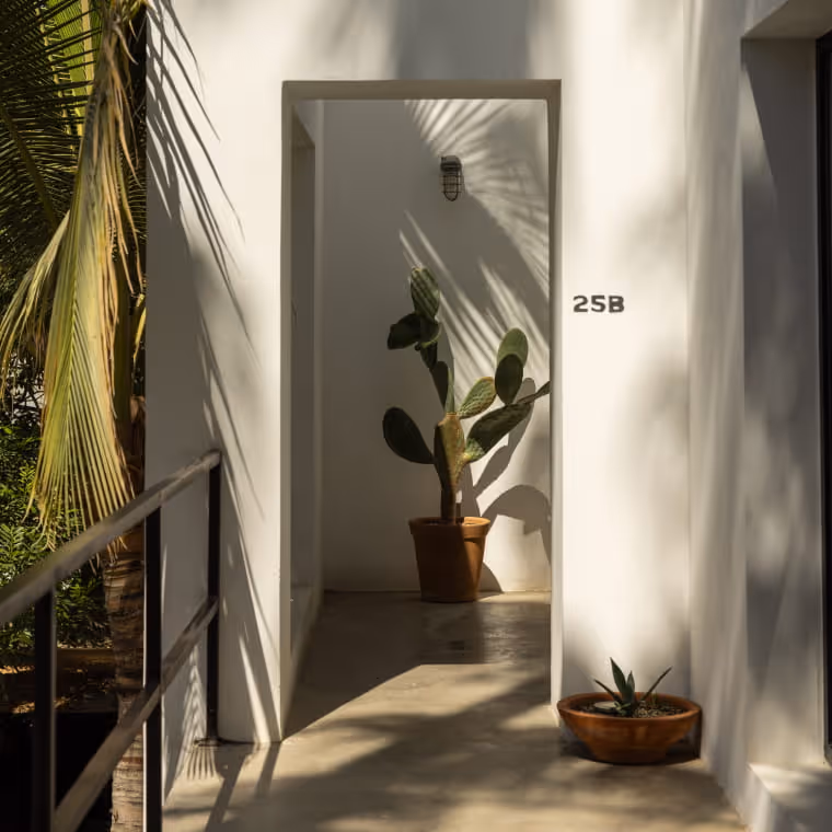 White-walled entrance to room 25B featuring a potted prickly pear cactus and palm tree shadows in warm sunlight