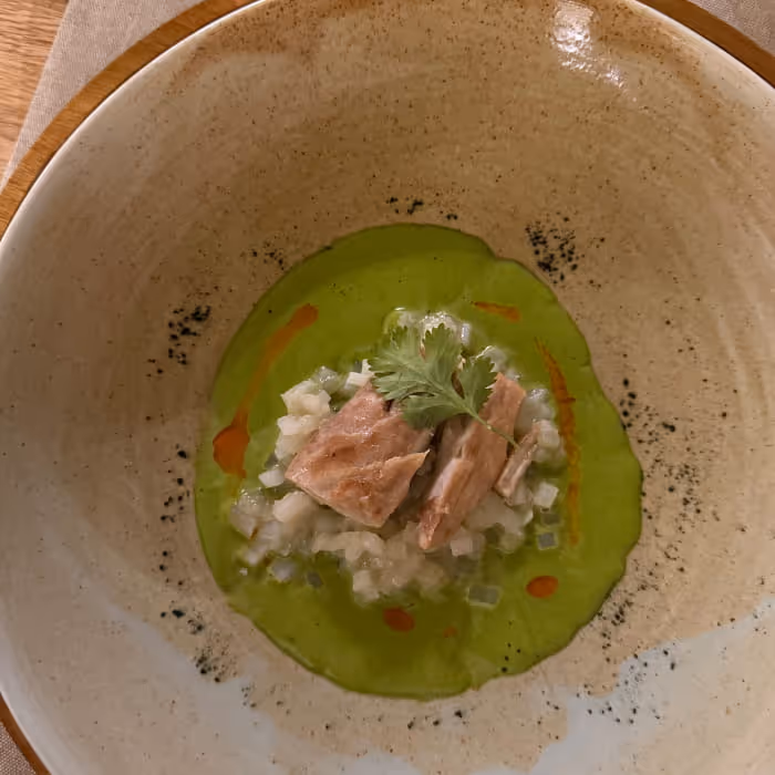 Elegant plated dish featuring salmon over diced vegetables on a vibrant green avocado purée, garnished with fresh cilantro