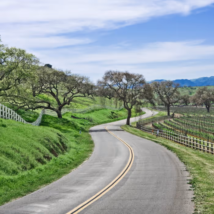 A winding two-lane country road curves through lush green hills lined with oak trees, vineyards, and white picket fences.