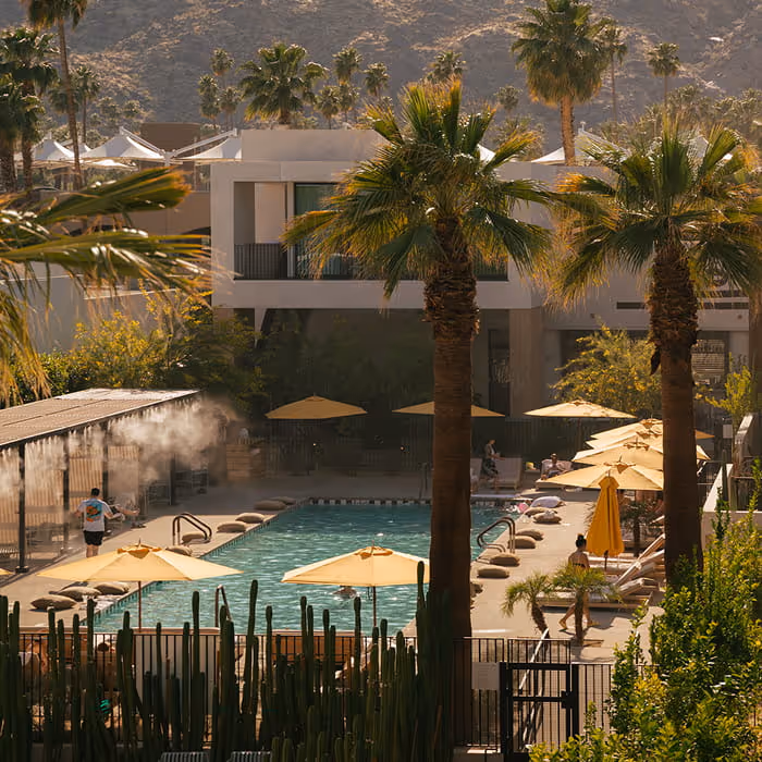 Desert resort pool area surrounded by palm trees, cacti, and sun umbrellas with mountains in the background