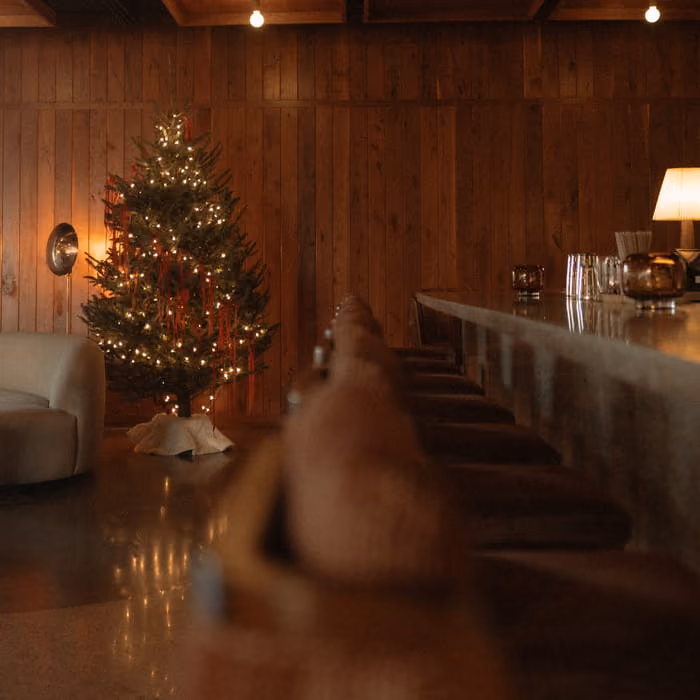 A warmly lit wood-paneled room with a decorated Christmas tree, a long bar counter, and cozy lounge seating.