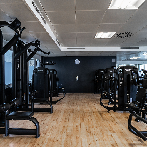 Premium-Fitness-Studio in Wien mit moderner Ausstattung und Holzboden.