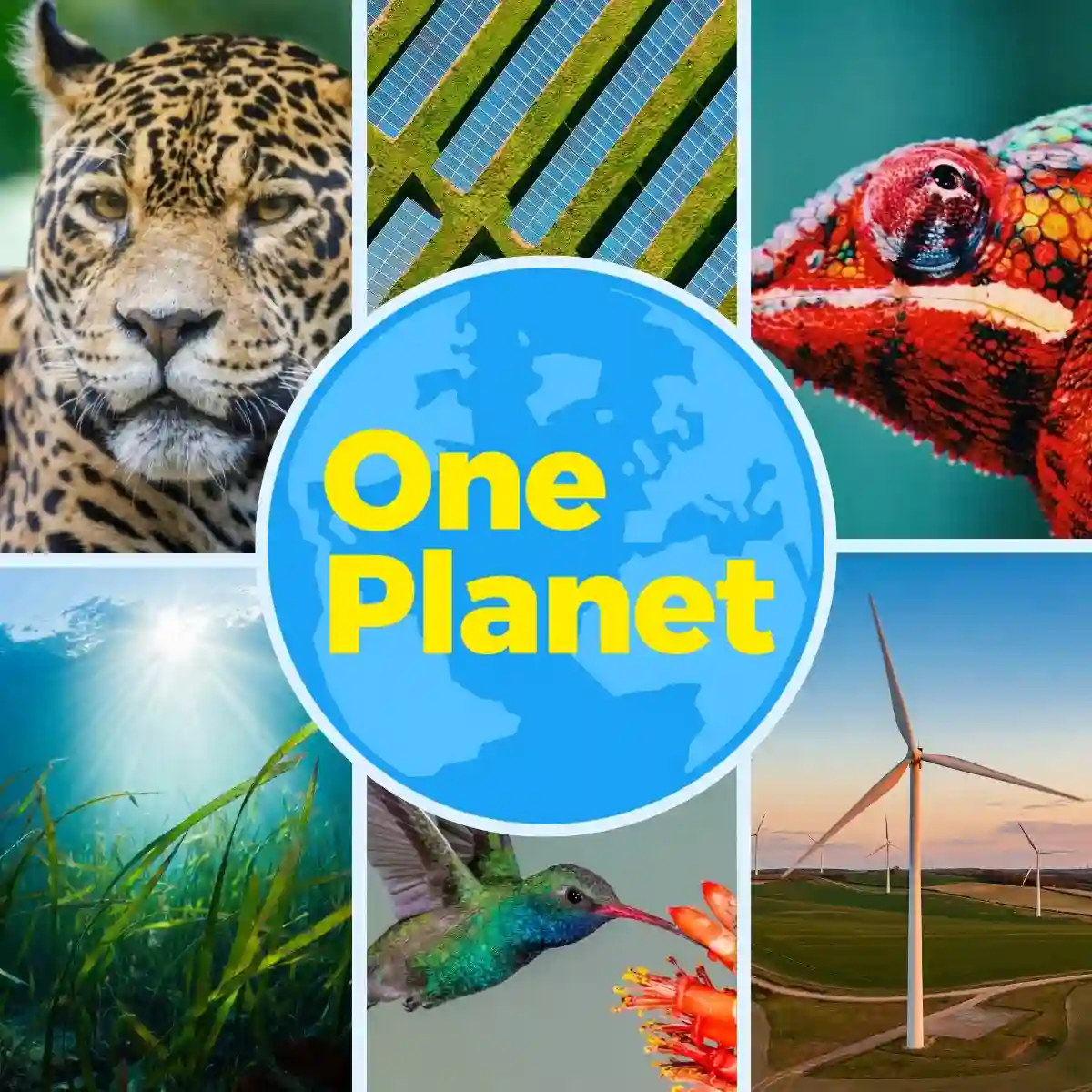 One Planet Challenge, 9th to 19th September