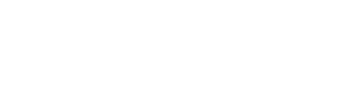 Villars Institute