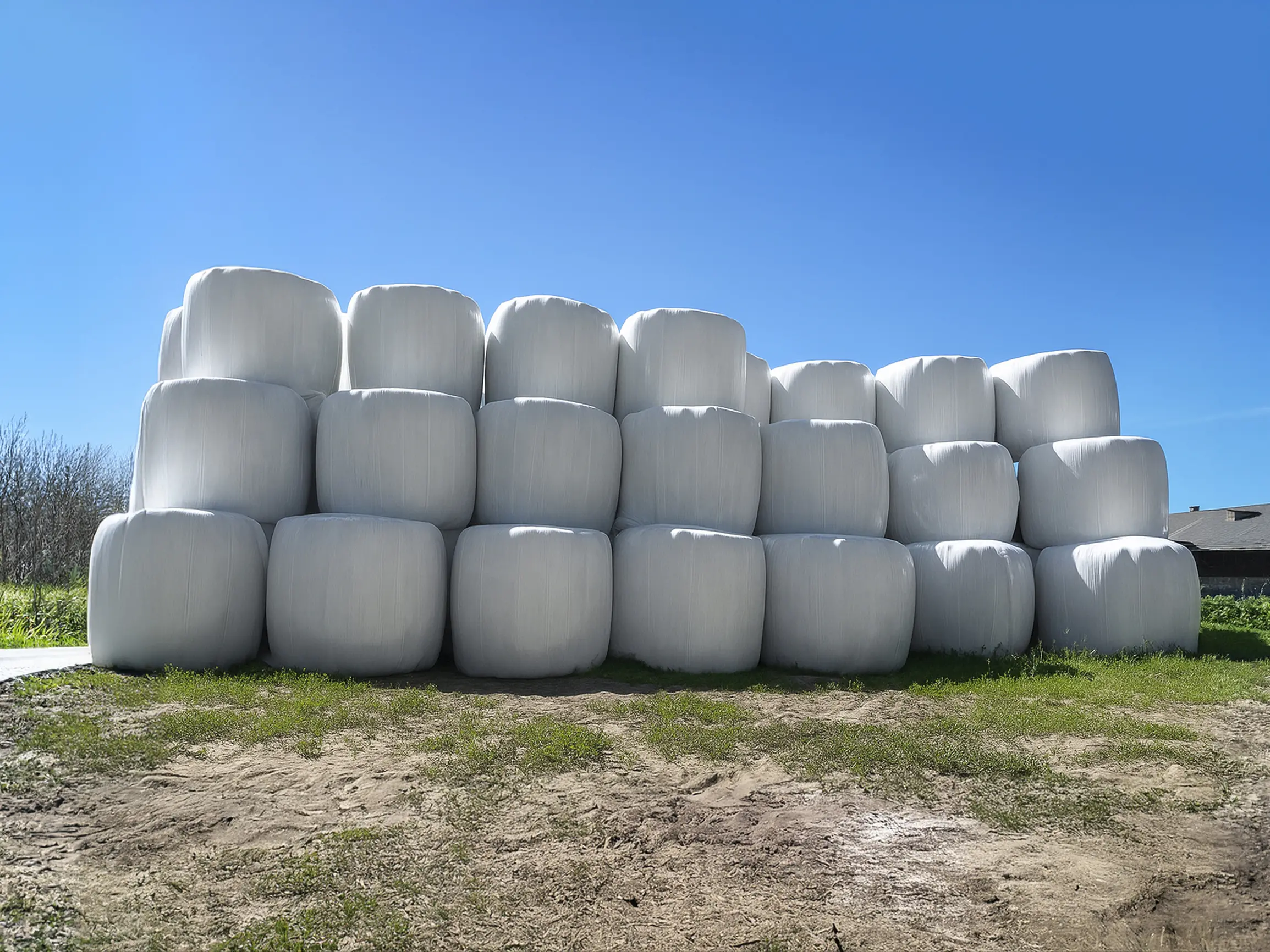 Jorge Marinho, Slow Pavilions, Copenhagen, 2025 , Reference