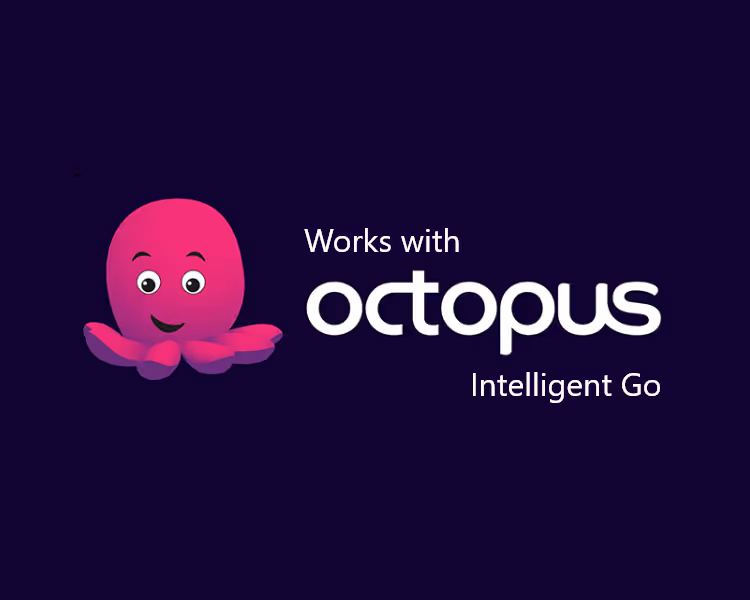 Cute pink octopus logo for Octopus Intelligent Go software