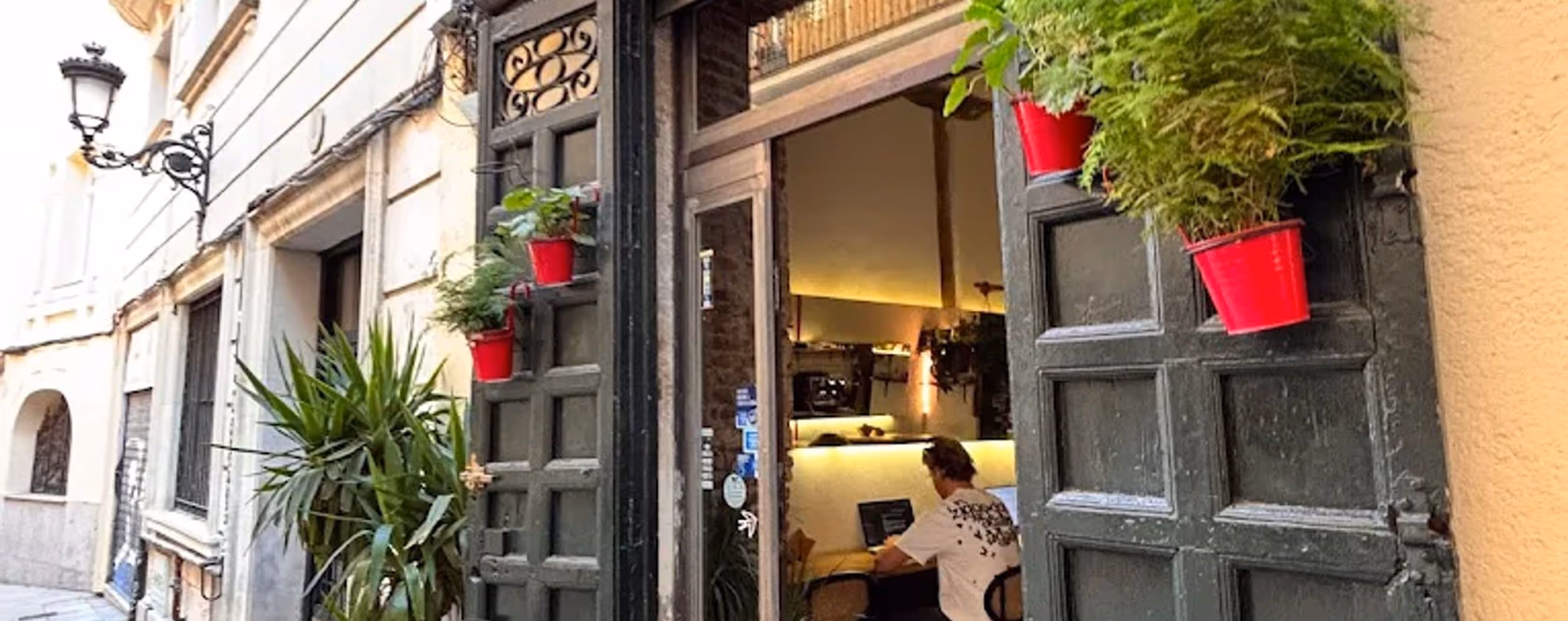 Geisha Specialty Coffee