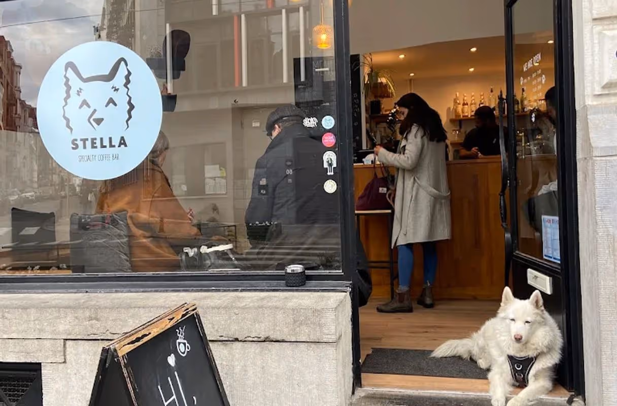 Stella Specialty Coffee Bar