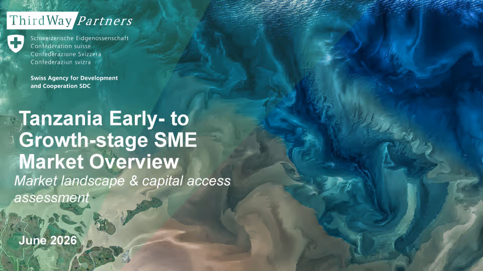 Tanzania Early- to Growth-stage SME Market Overview