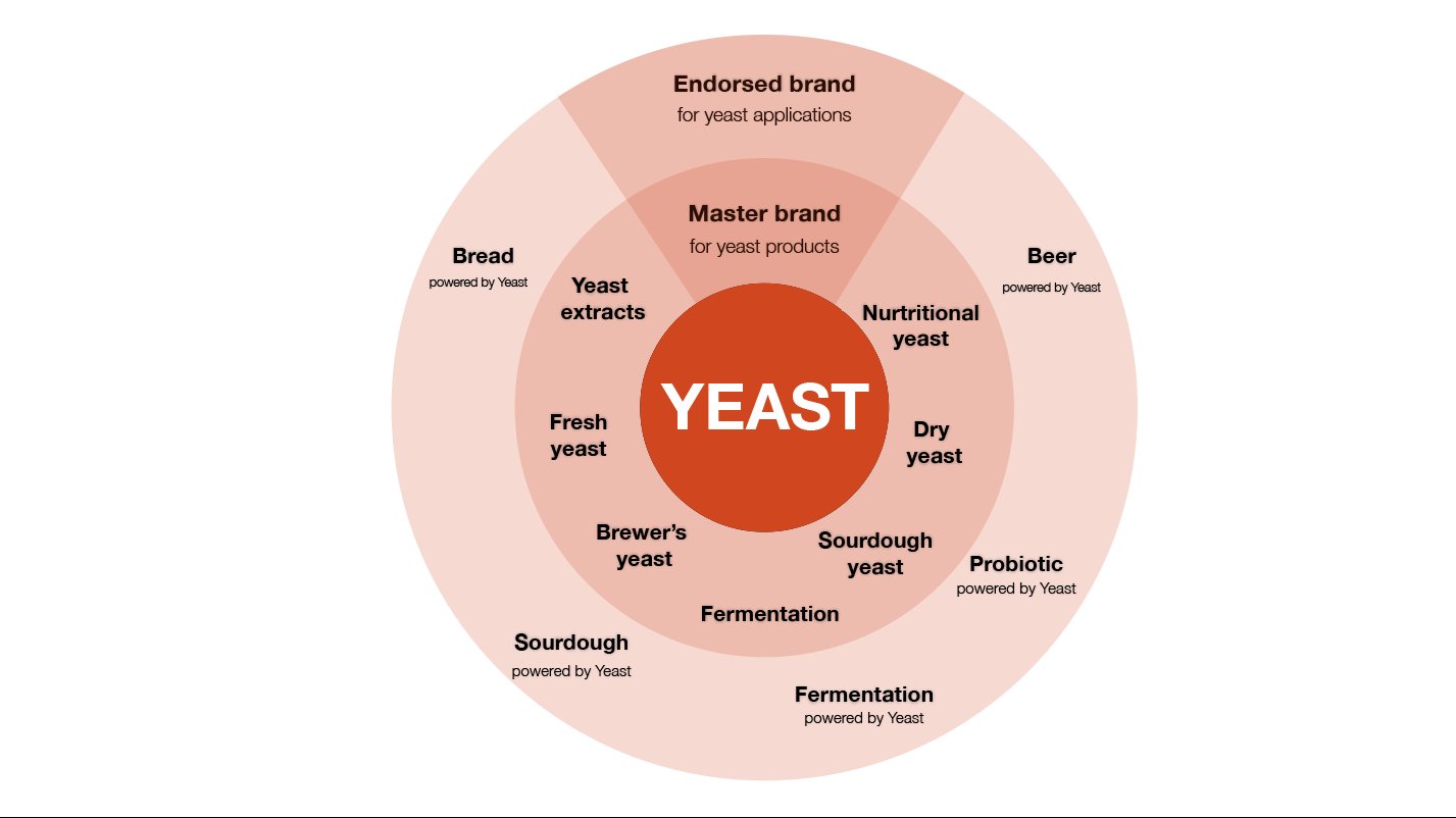 Architecture de marque Lesaffre : YEAST comme category brand alimentant les produits directs et les endorsed brands powered by yeast