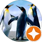 social-proof-image