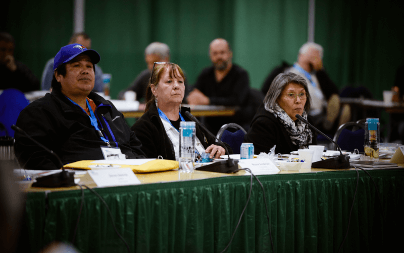 Gwich’in Vision
