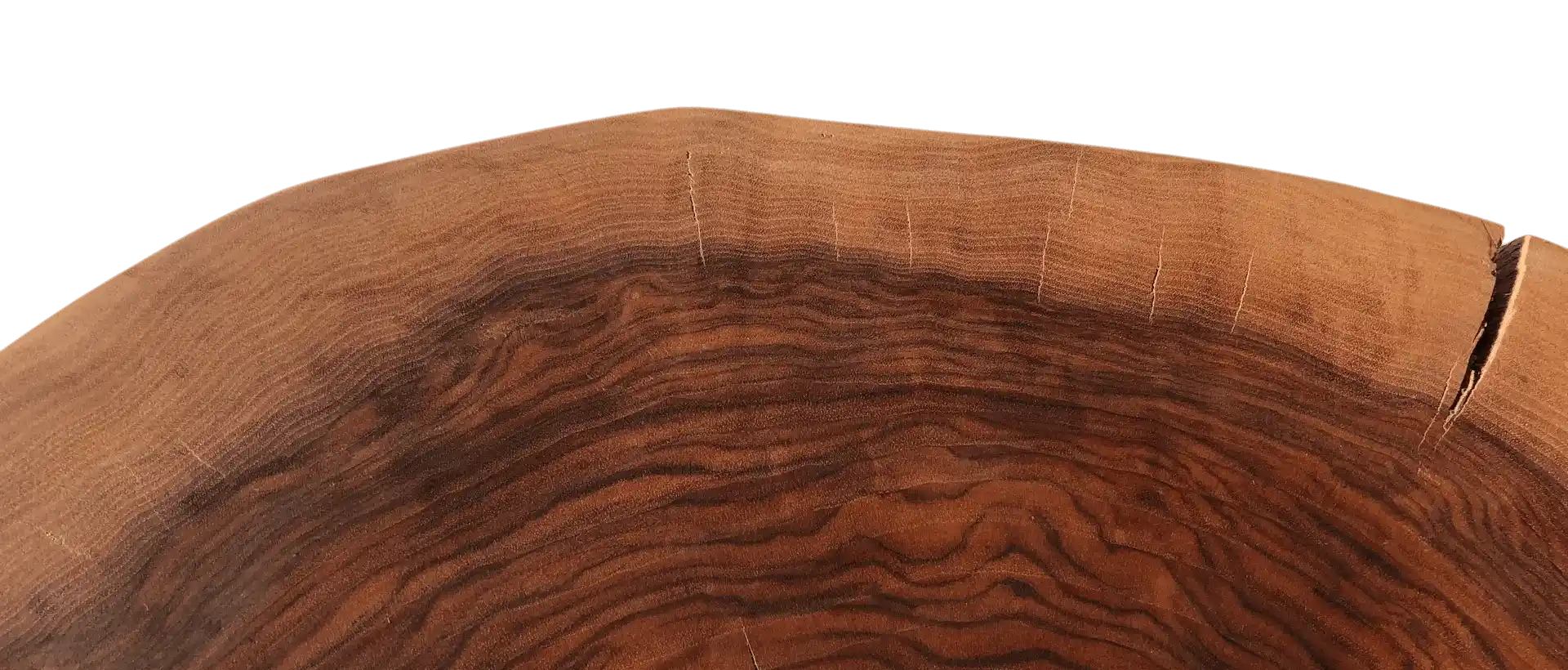 Ein Querschnitt eines Holzstammes welcher sehr natürlich und braun-rötlich aussieht