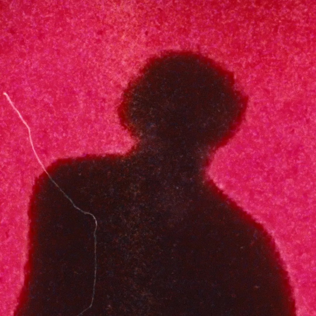 Jack Harlow Event Aktivierung, Still