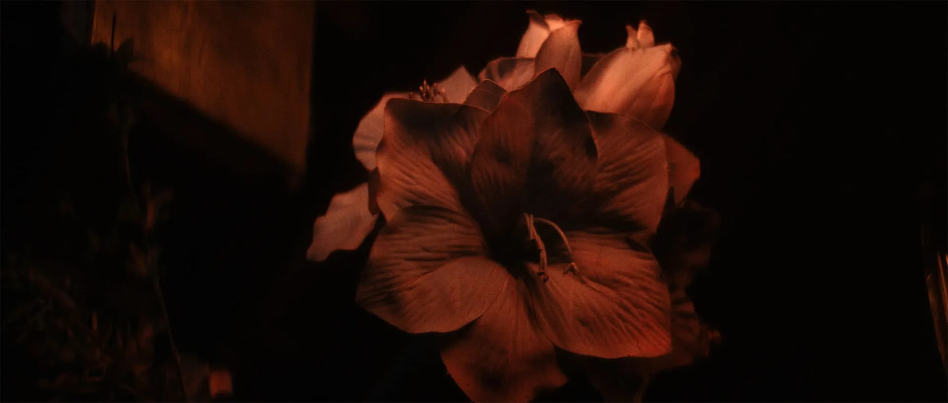 Lahos × Nina Chuba - Regrets, Still
