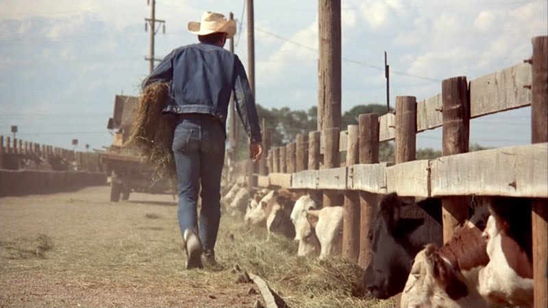 Denim và Levi's: Điều gì tạo nên sự kinh điển cho thương hiệu này?