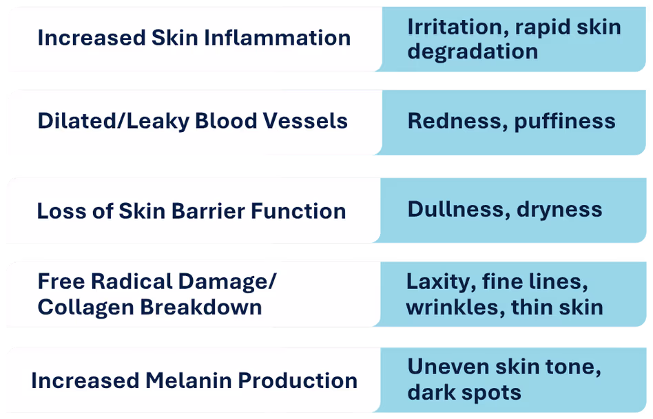 Infographic showing the step-by-step process of how inflammation damages and degrades the skin over time