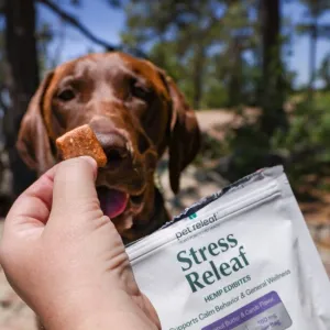 Hand offering a Pet Releaf Stress Releaf hemp chew to a brown dog outdoors.