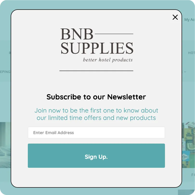 Newsletter signup popup on a merchant's storefront.