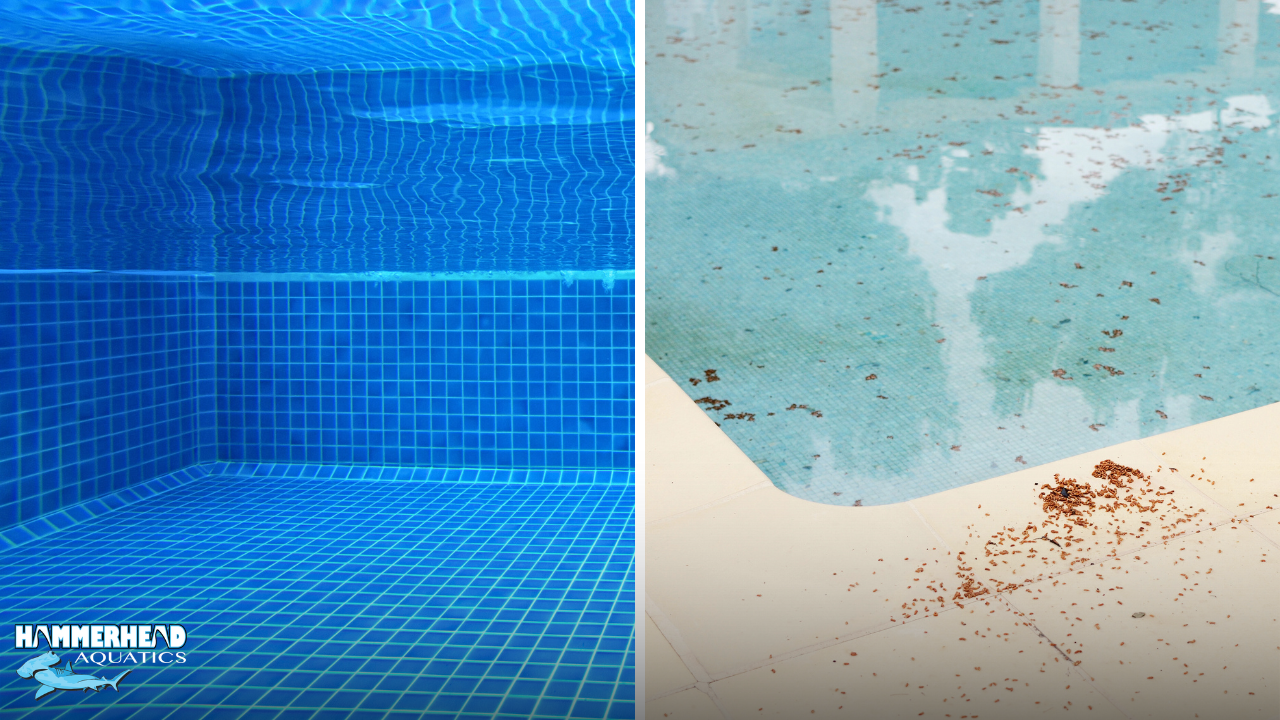 Clear pool vs cloudy water showing the impact of poor water testing.