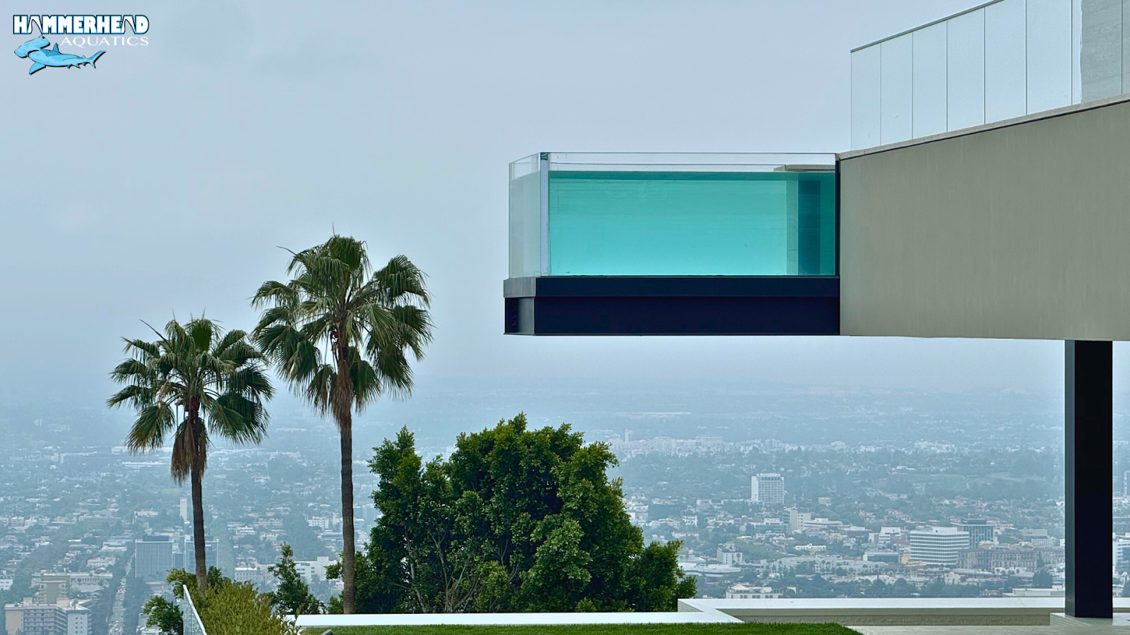 Luxury swimming pool featuring a clear acrylic pool window with underwater view.
