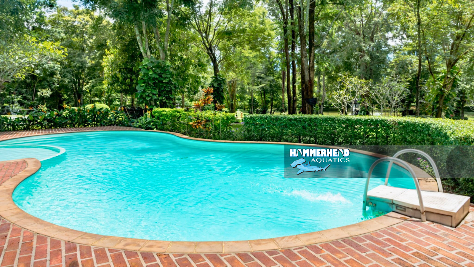 Brick coping in a classic backyard pool setup