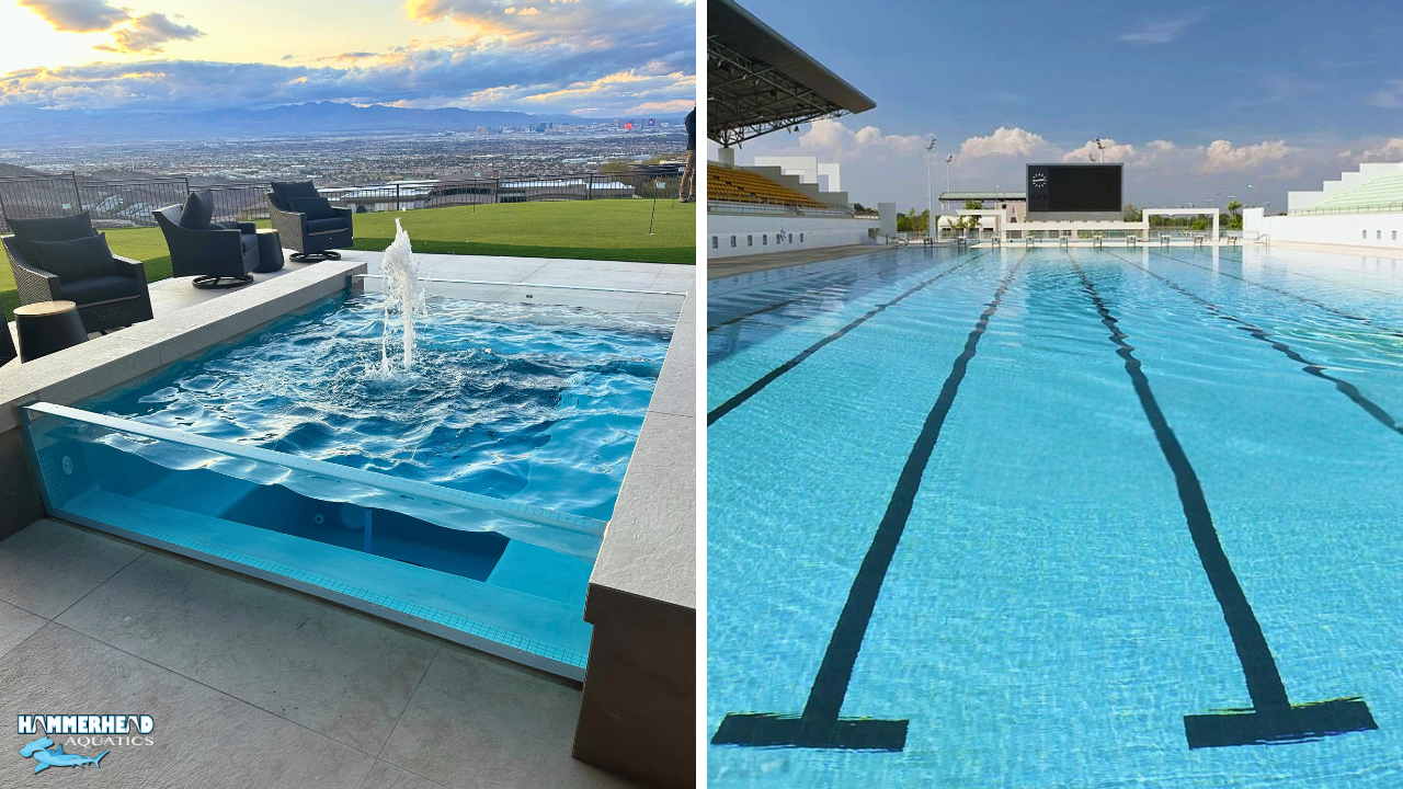 Olympic commercial pool compared with smaller residential backyard pool
