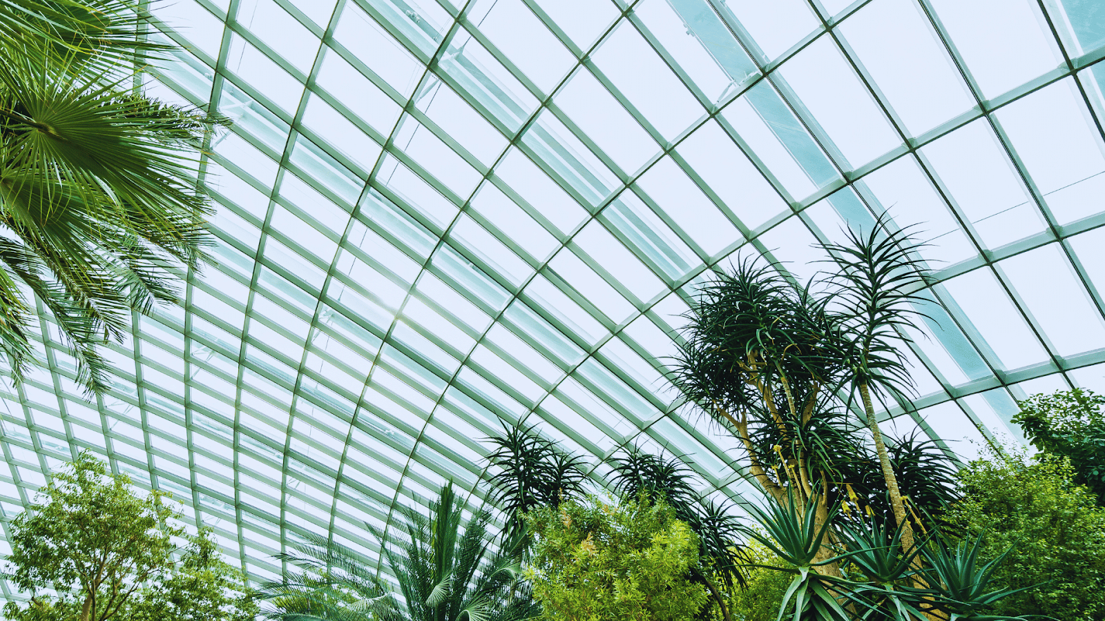 Bird-safe UV-coated glass preventing bird collisions in aviary enclosure.