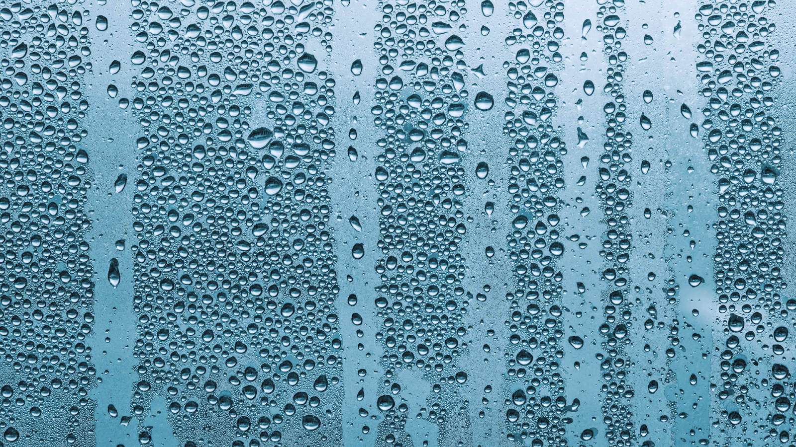 Self-cleaning zoo glass with hydrophilic and photocatalytic coatings.