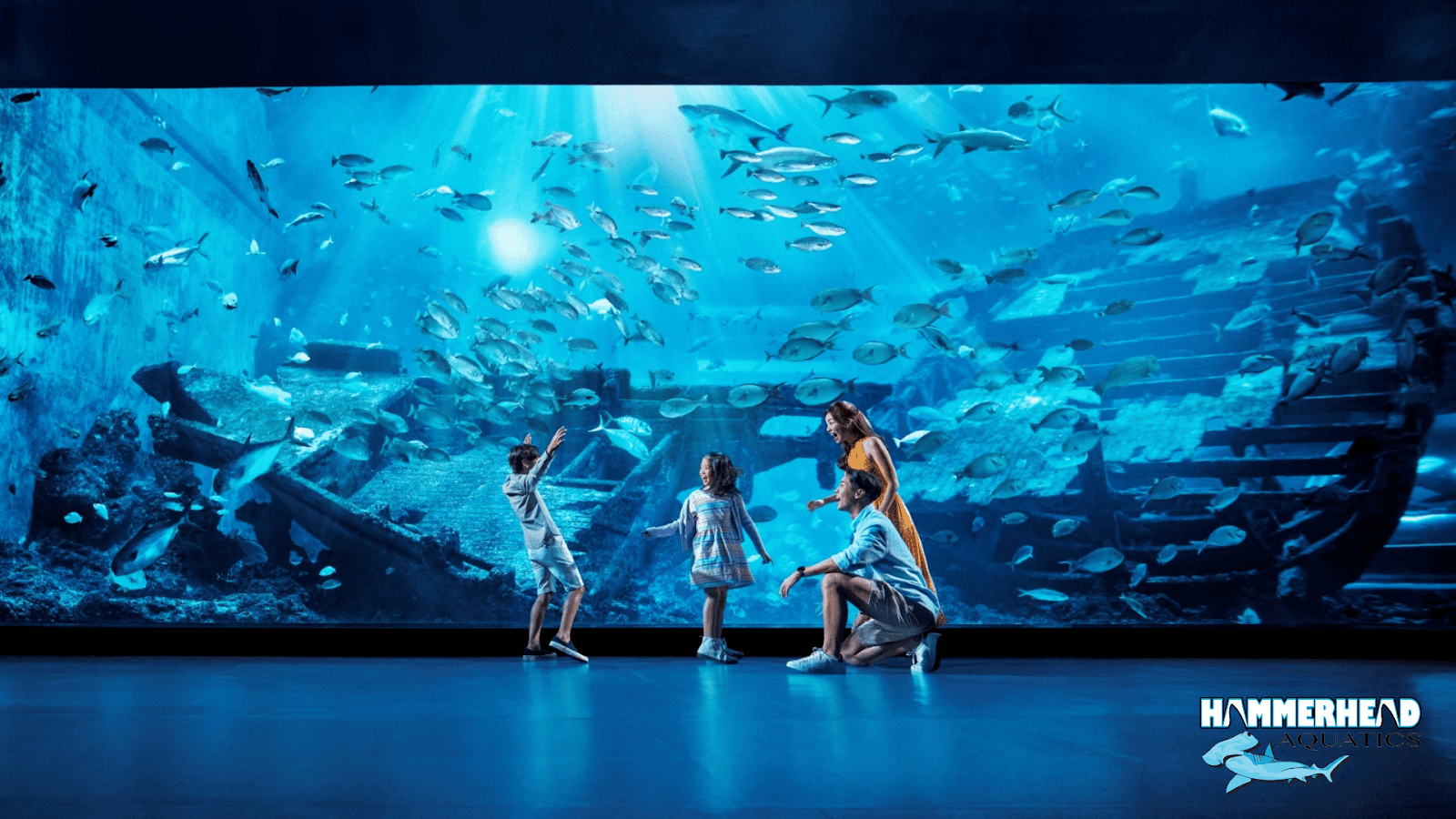 Large public aquarium using thick laminated glass for deep water enclosures.
