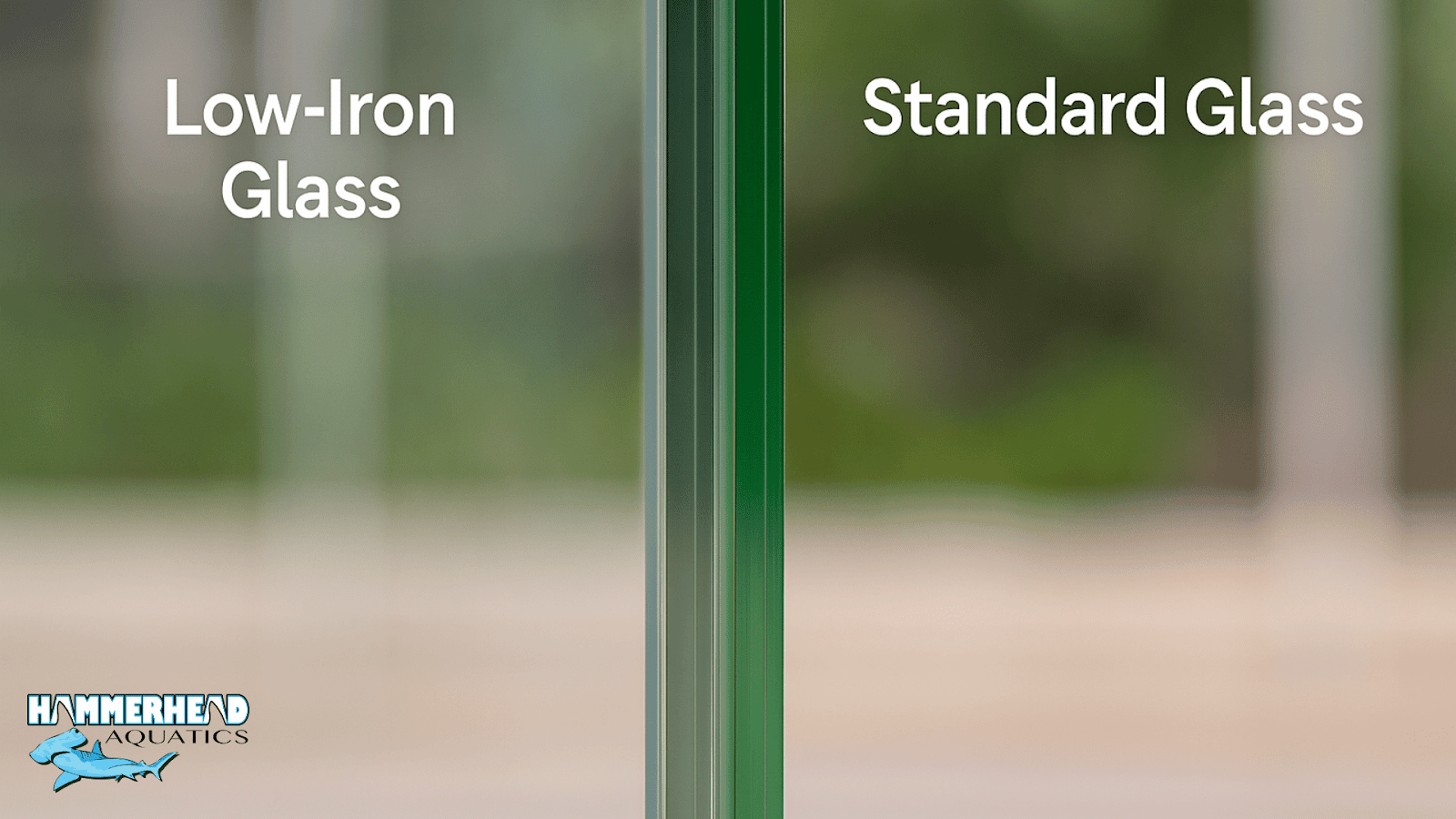 Low-iron glass providing clearer viewing compared to standard green-tinted aquarium glass.