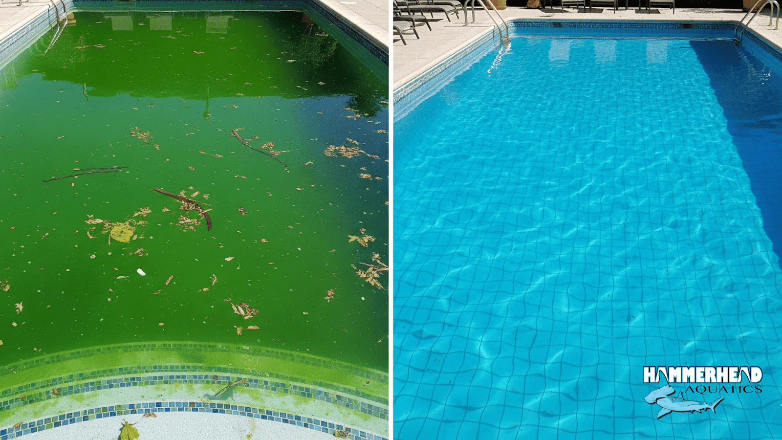 Before and after comparison of a green swimming pool turned crystal clear with proper treatment.