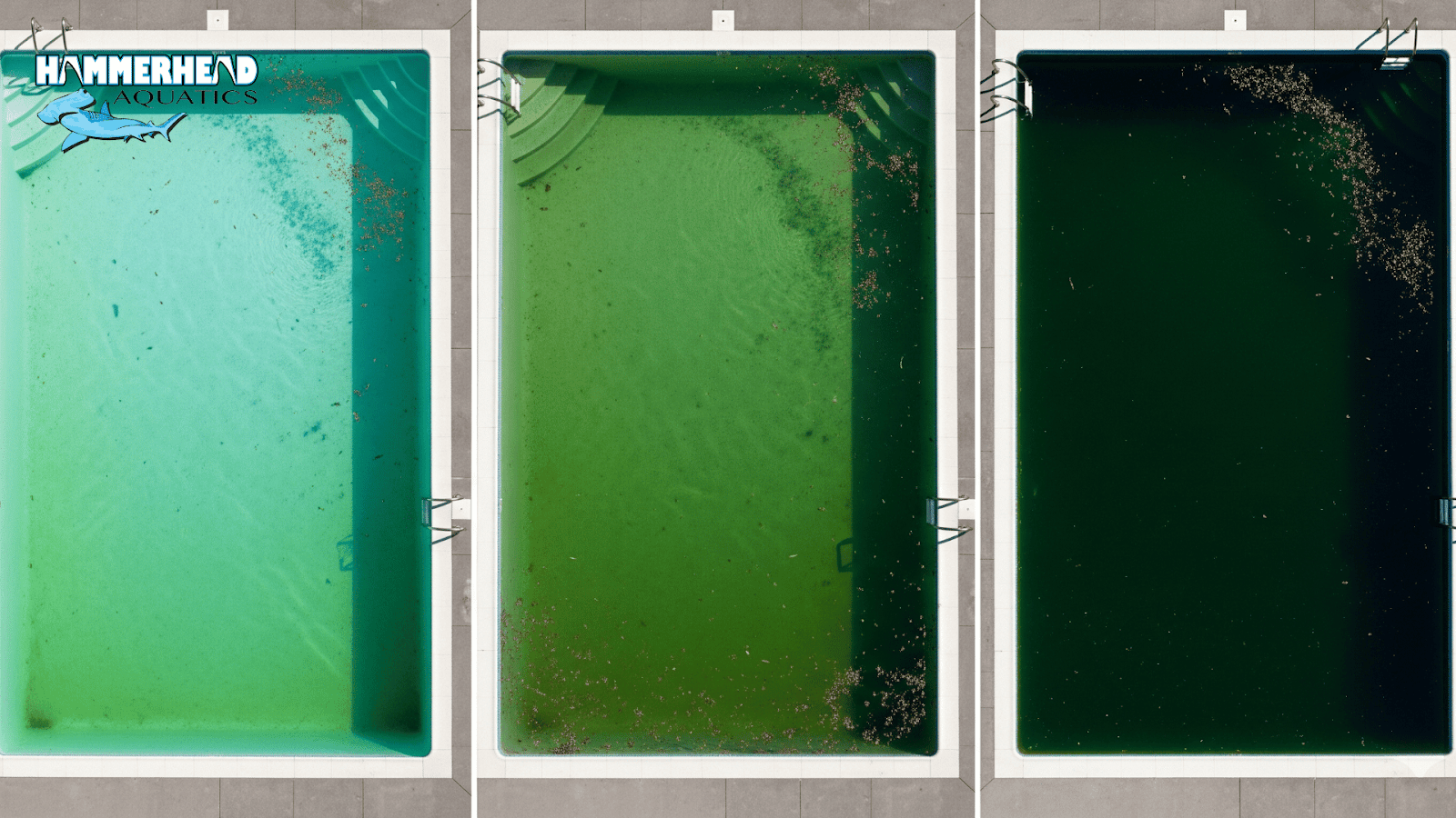 Light green, medium green, and dark algae-infested swimming pools side by side.