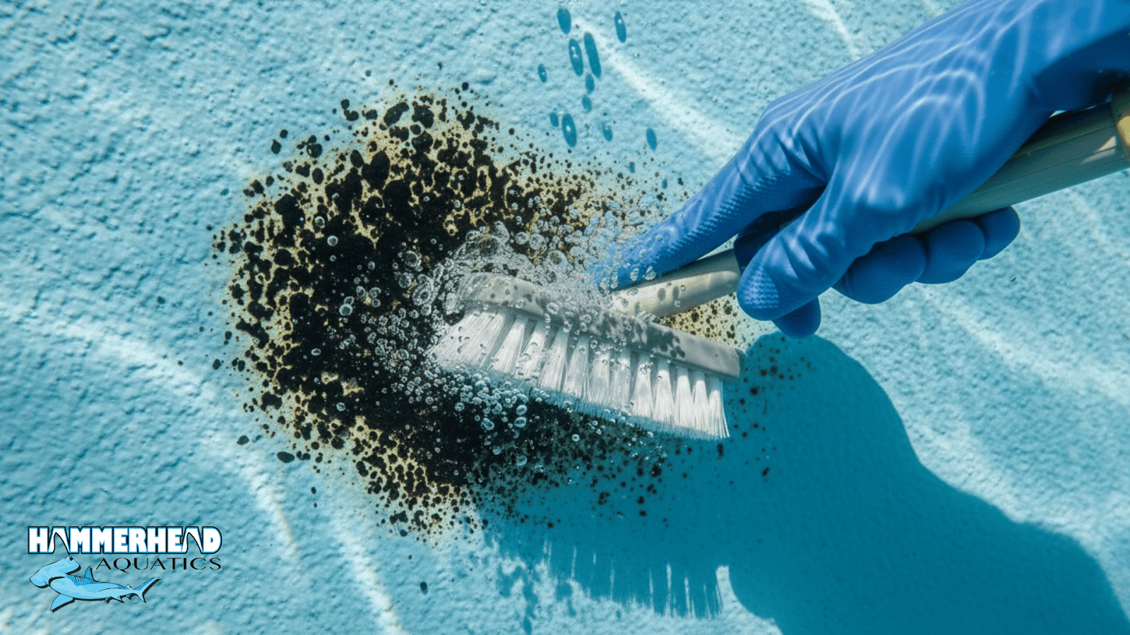 : Black algae spots being brushed off pool wall during algae treatment.